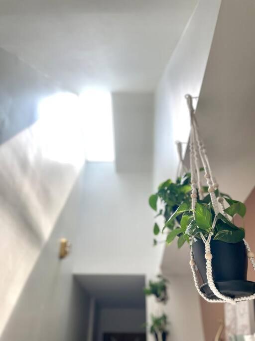 Geodis Park Apartment In Weho Nashville Bagian luar foto